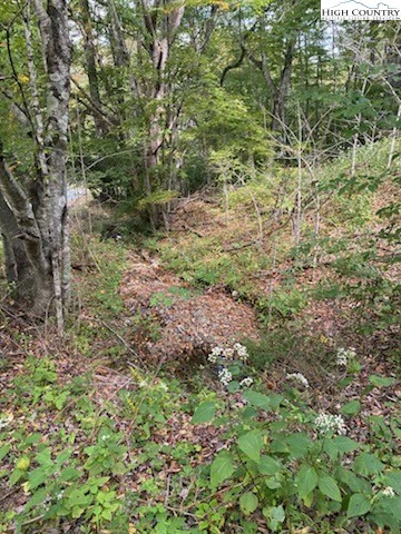 Image number 5 for the current listing