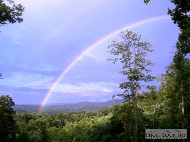 Image number 1 for the current listing