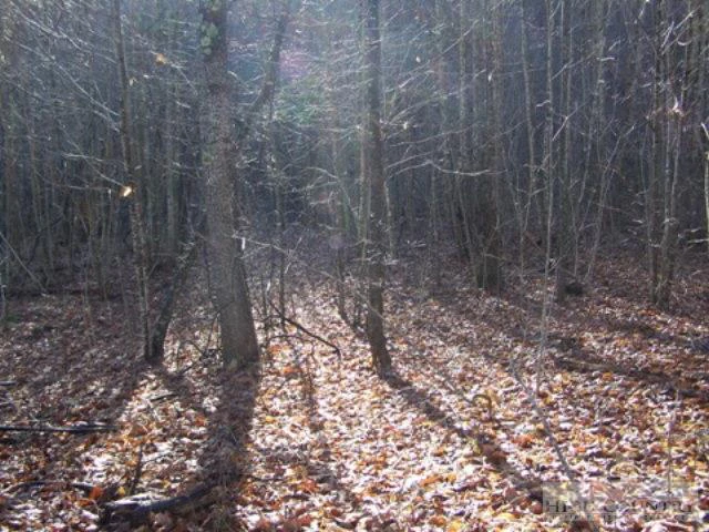 Image number 3 for the current listing
