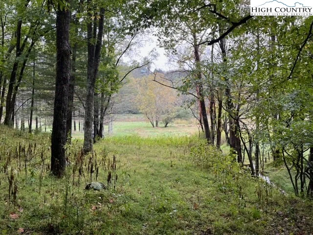 Image number 1 for the current listing