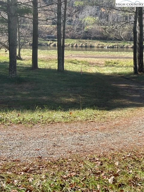 Image number 3 for the current listing