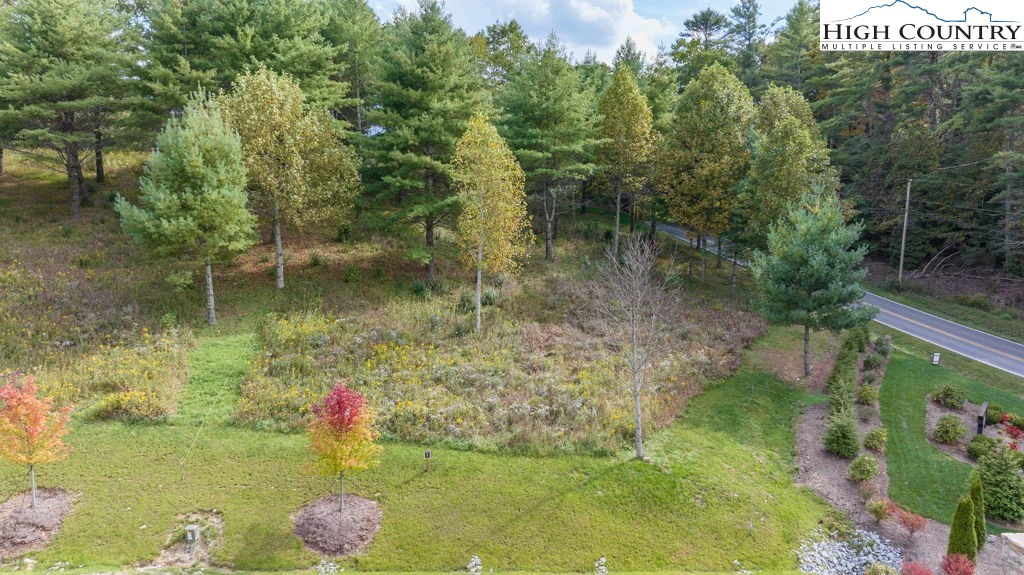 Image number 15 for the current listing