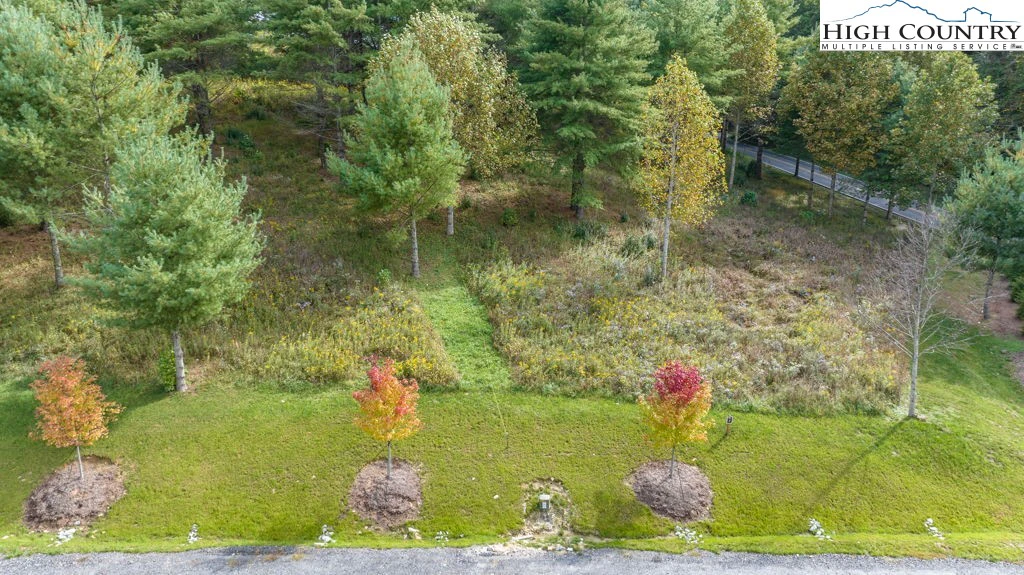 Image number 1 for the current listing