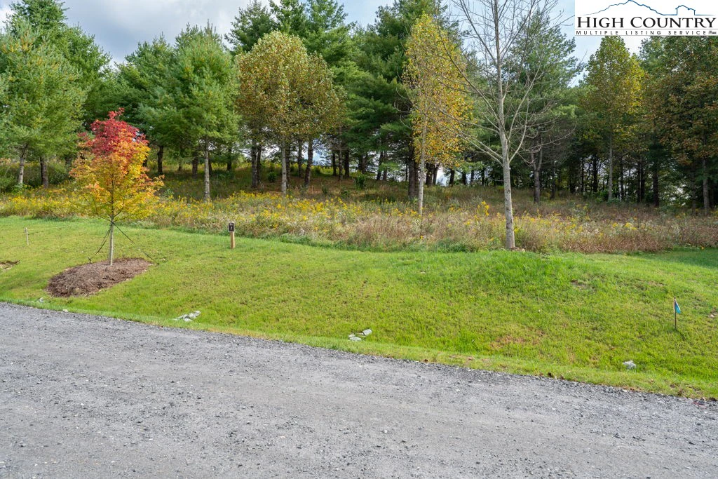 Image number 2 for the current listing