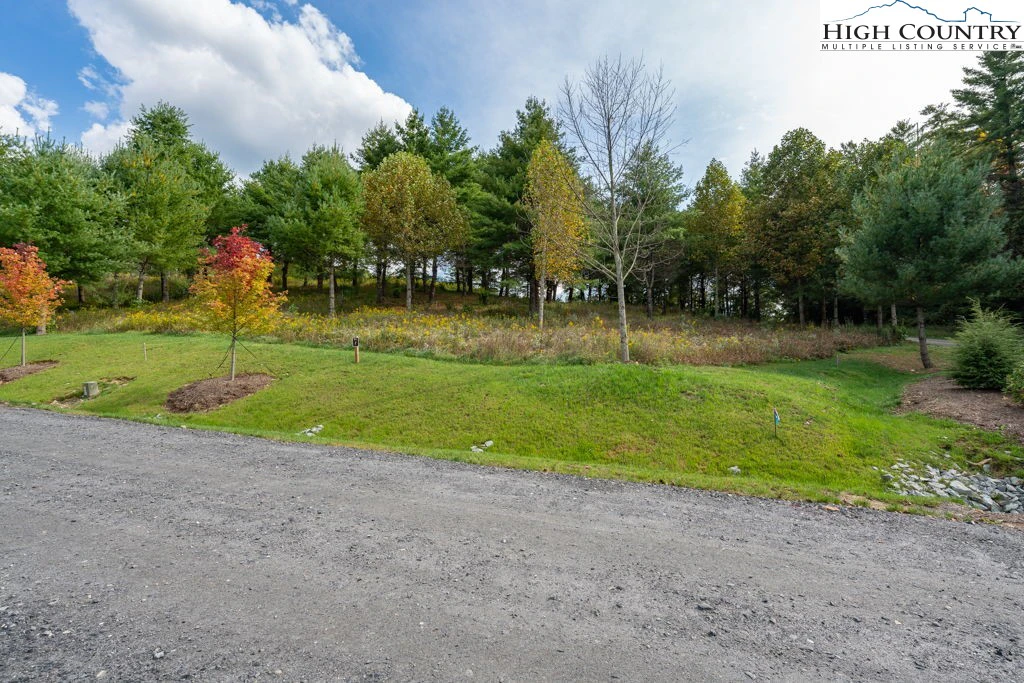 Image number 10 for the current listing