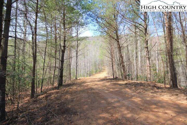 Image number 4 for the current listing