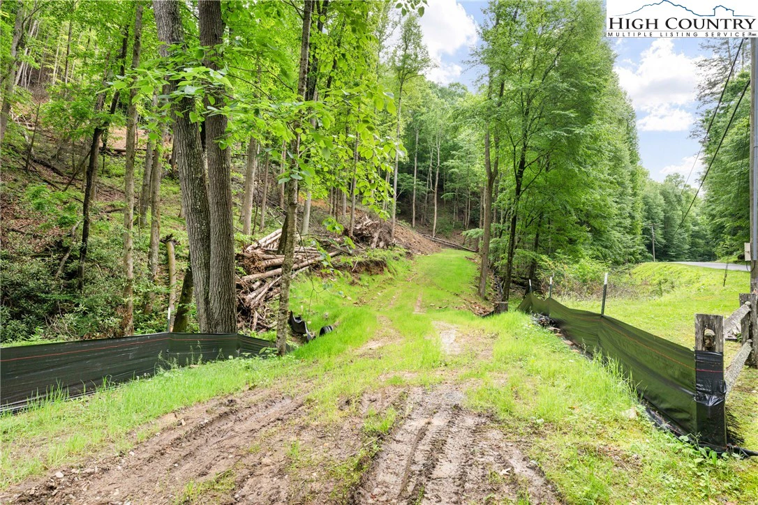 Image number 4 for the current listing