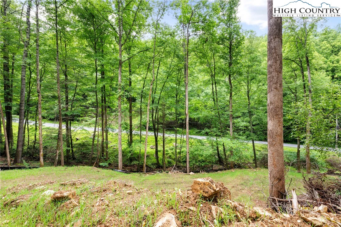 Image number 14 for the current listing