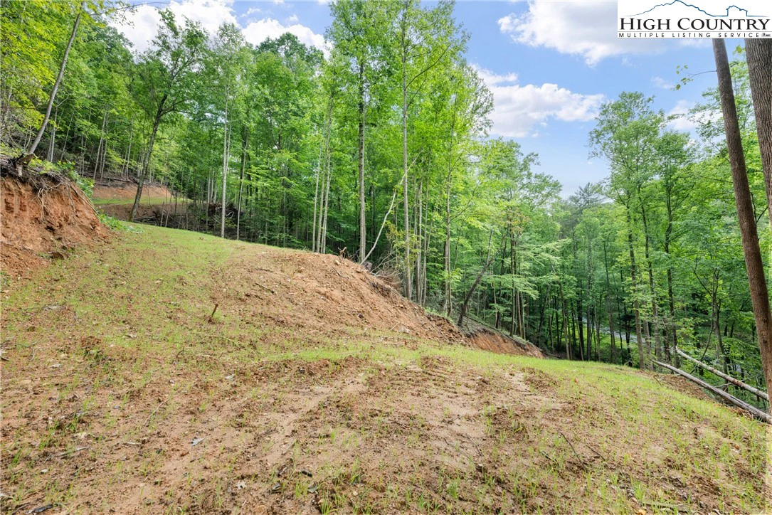 Image number 12 for the current listing