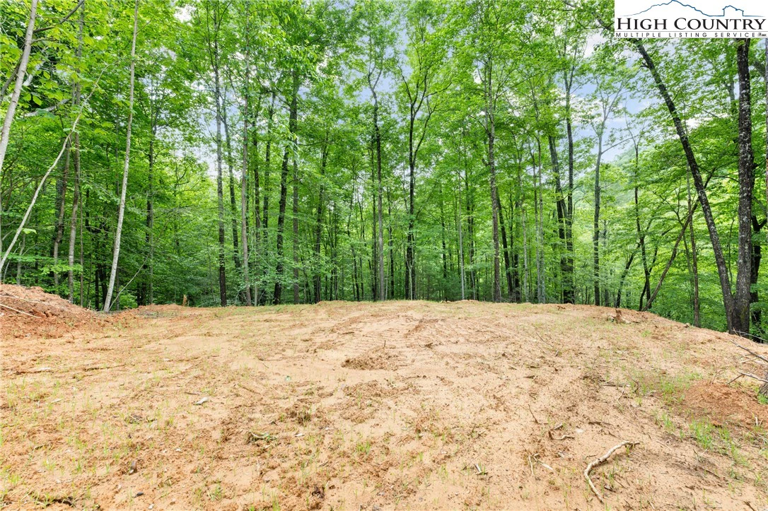 Image number 5 for the current listing