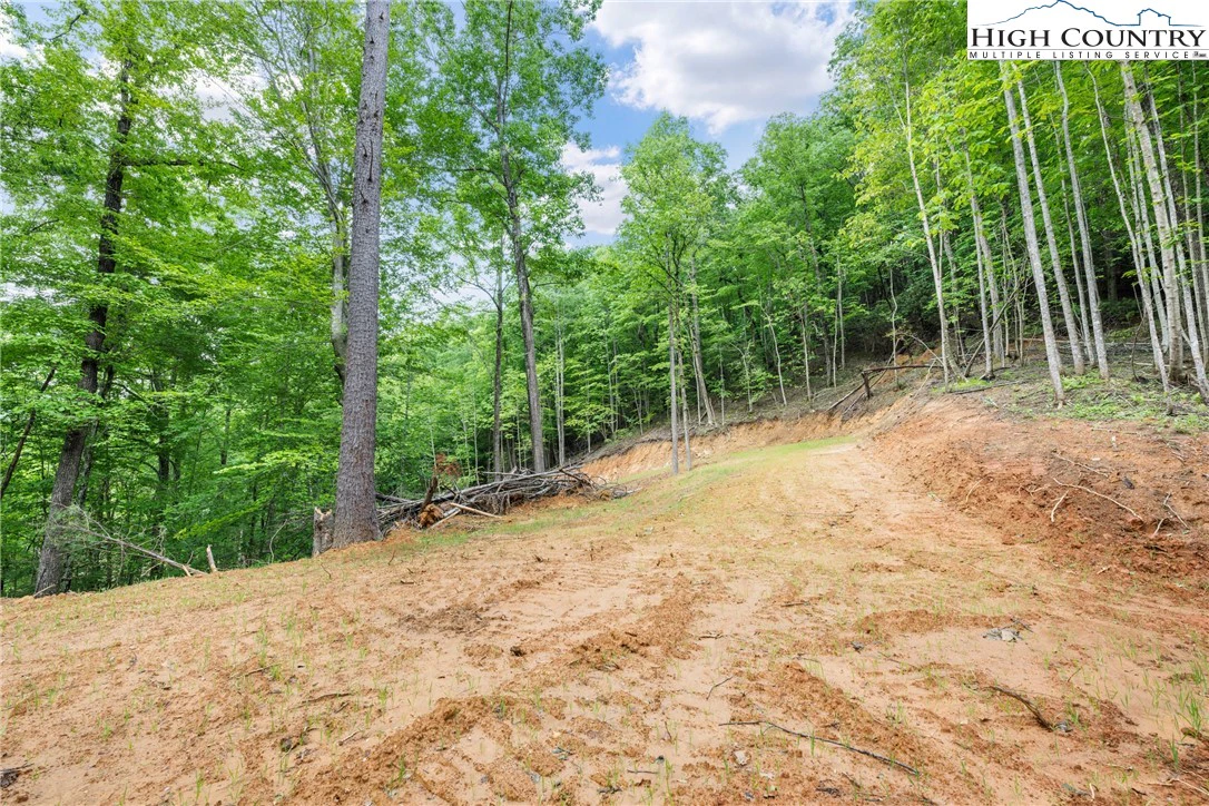 Image number 7 for the current listing