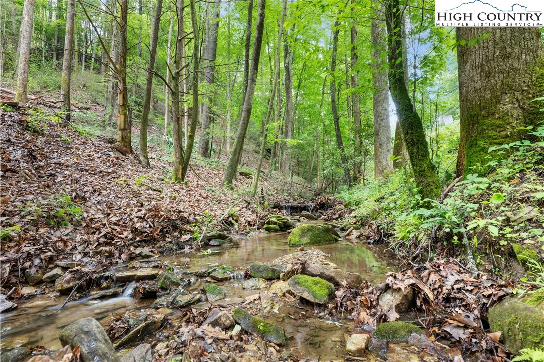Image number 3 for the current listing