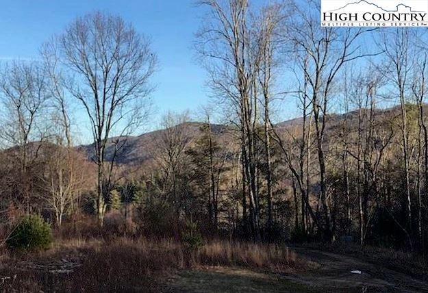 Image number 3 for the current listing