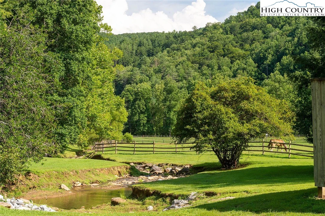 Image number 7 for the current listing