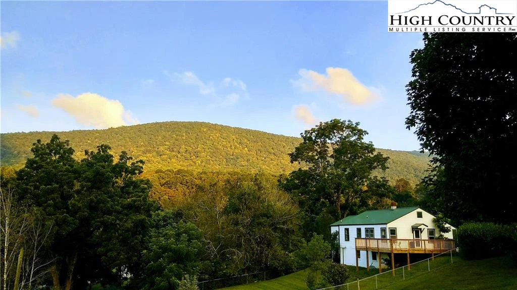 Image number 1 for the current listing