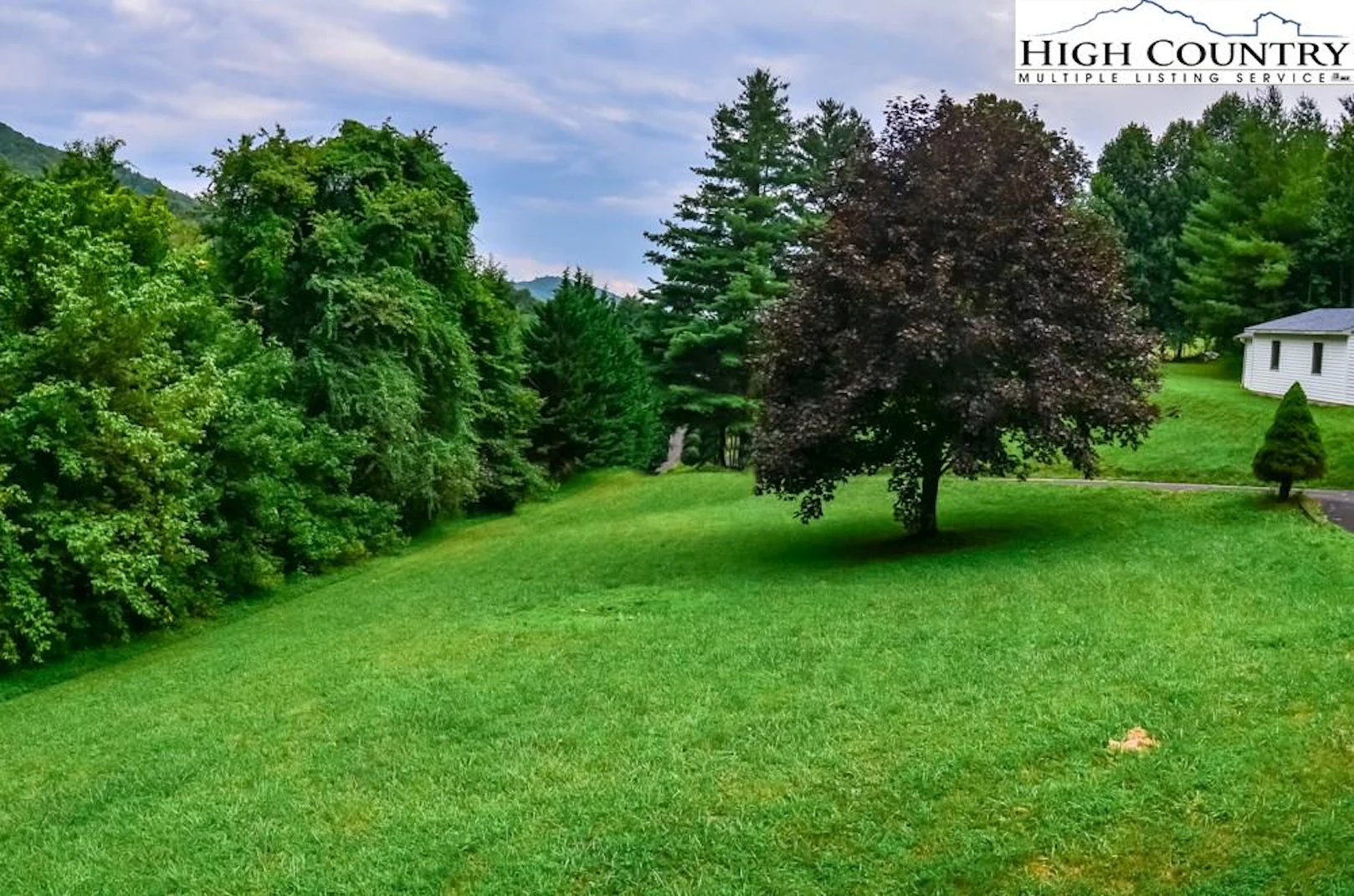 Image number 15 for the current listing