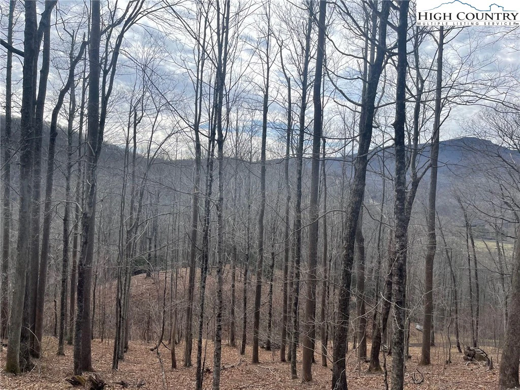 Image number 3 for the current listing
