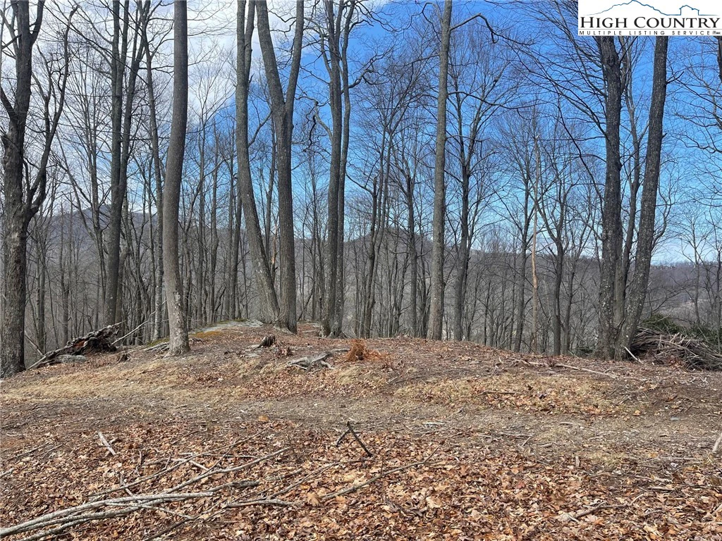 Image number 4 for the current listing