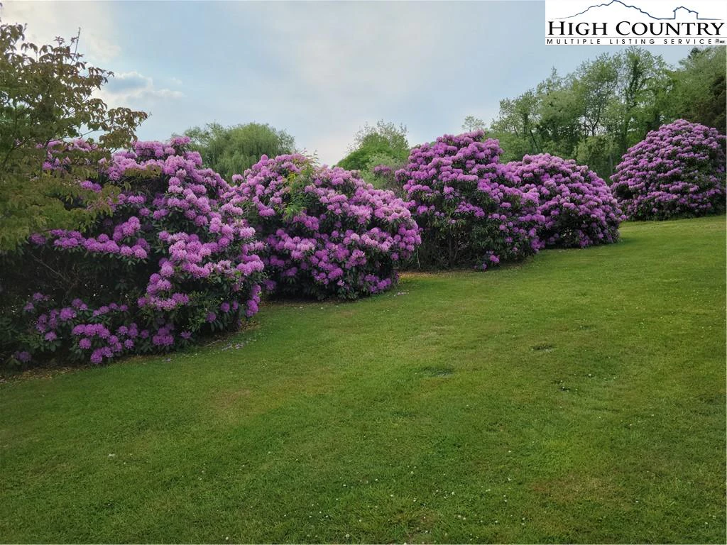 Image number 28 for the current listing