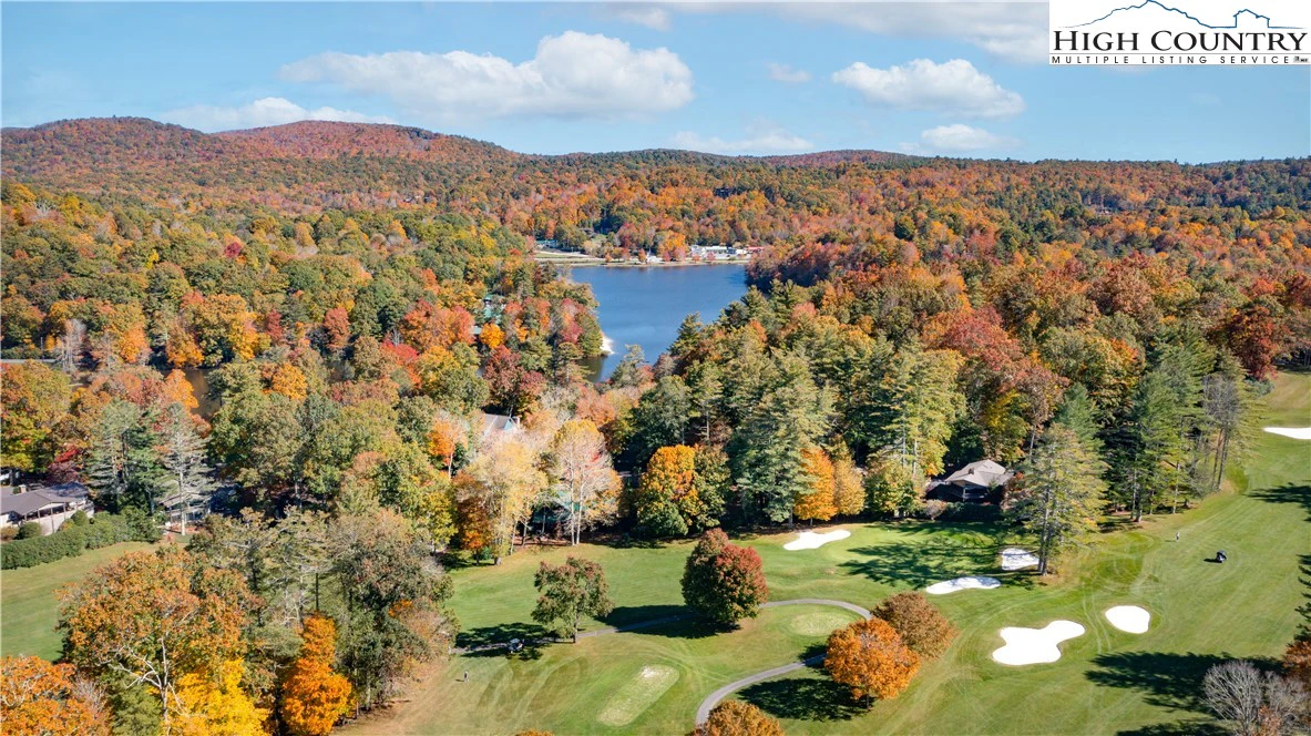 Image number 10 for the current listing