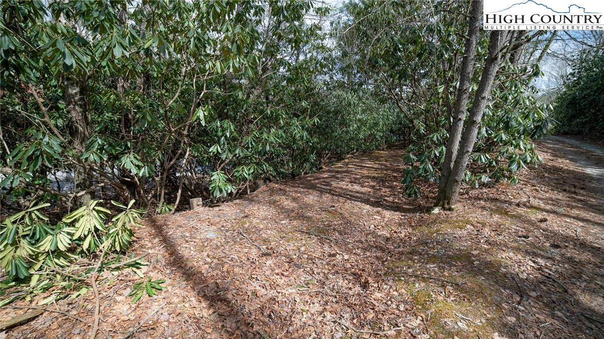 Image number 7 for the current listing