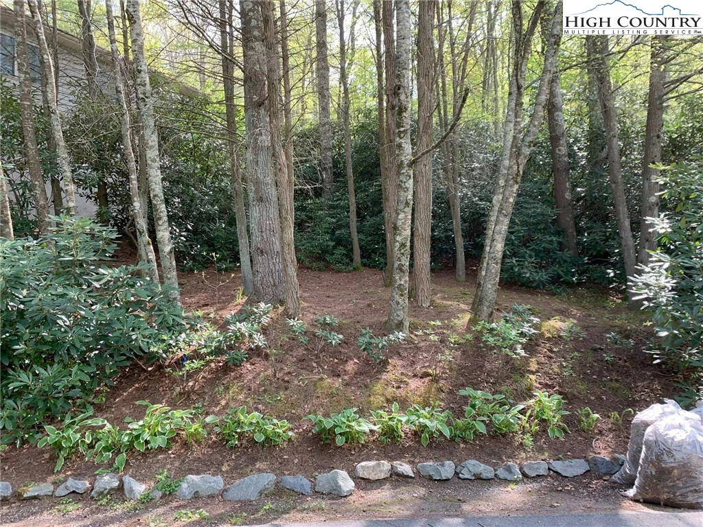 Image number 18 for the current listing