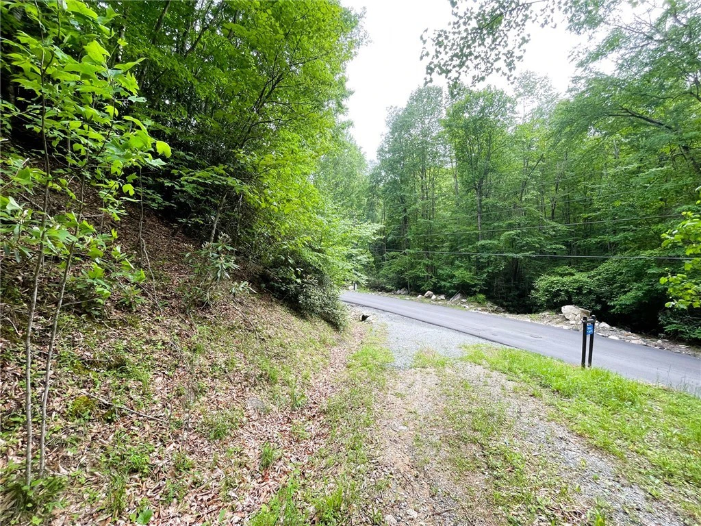 Image number 1 for the current listing