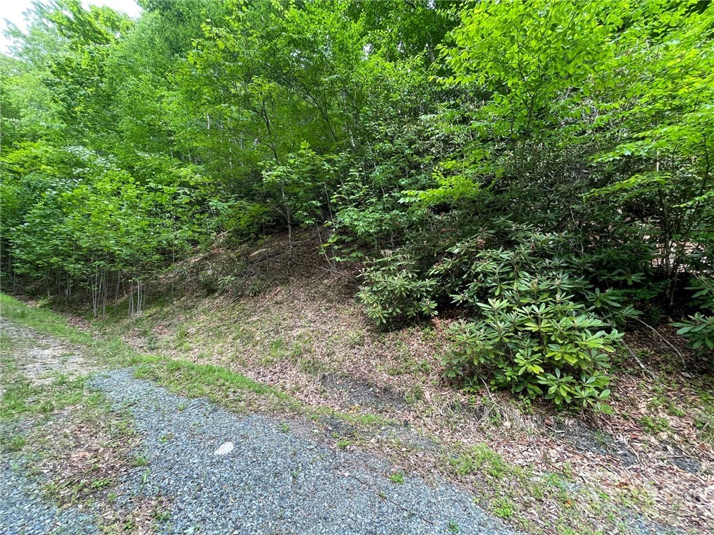 Image number 2 for the current listing