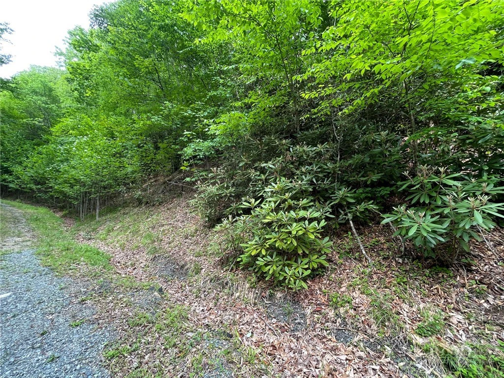 Image number 3 for the current listing