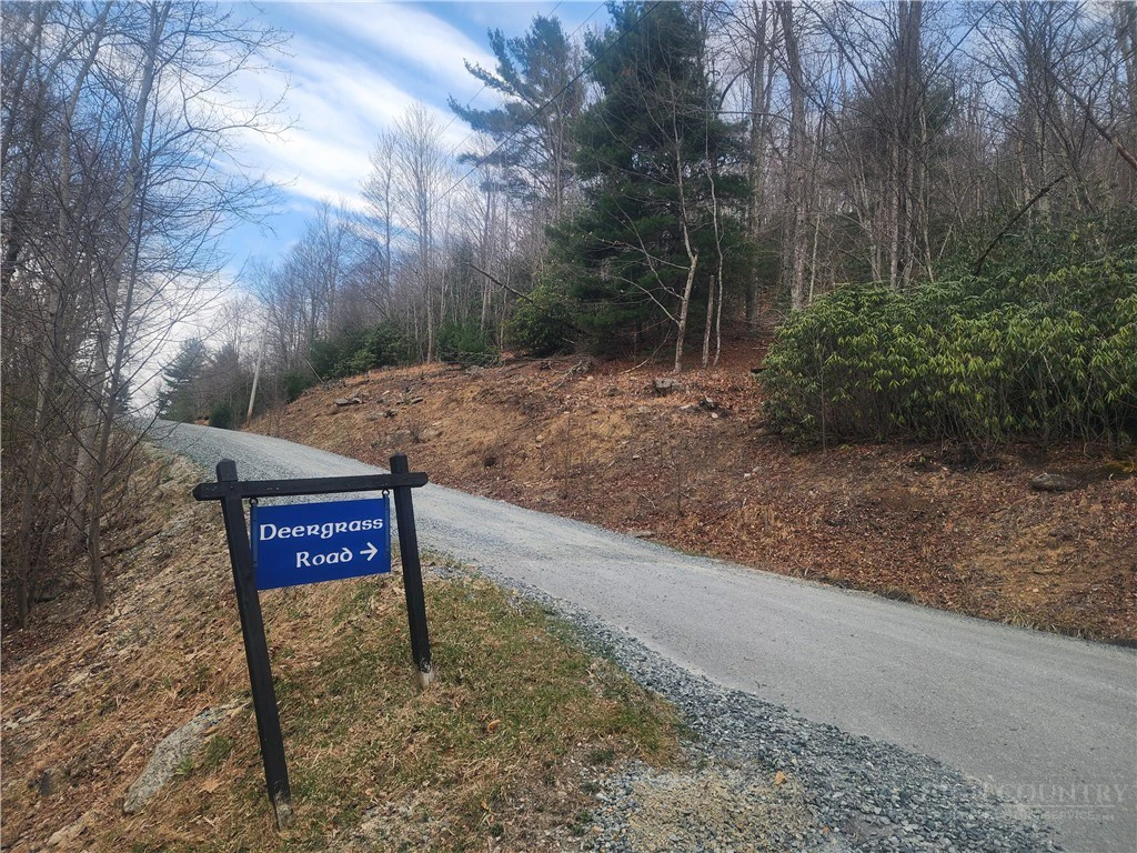 Image number 1 for the current listing