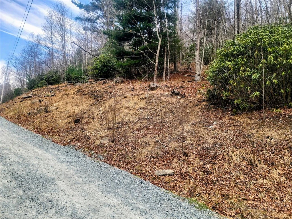 Image number 4 for the current listing