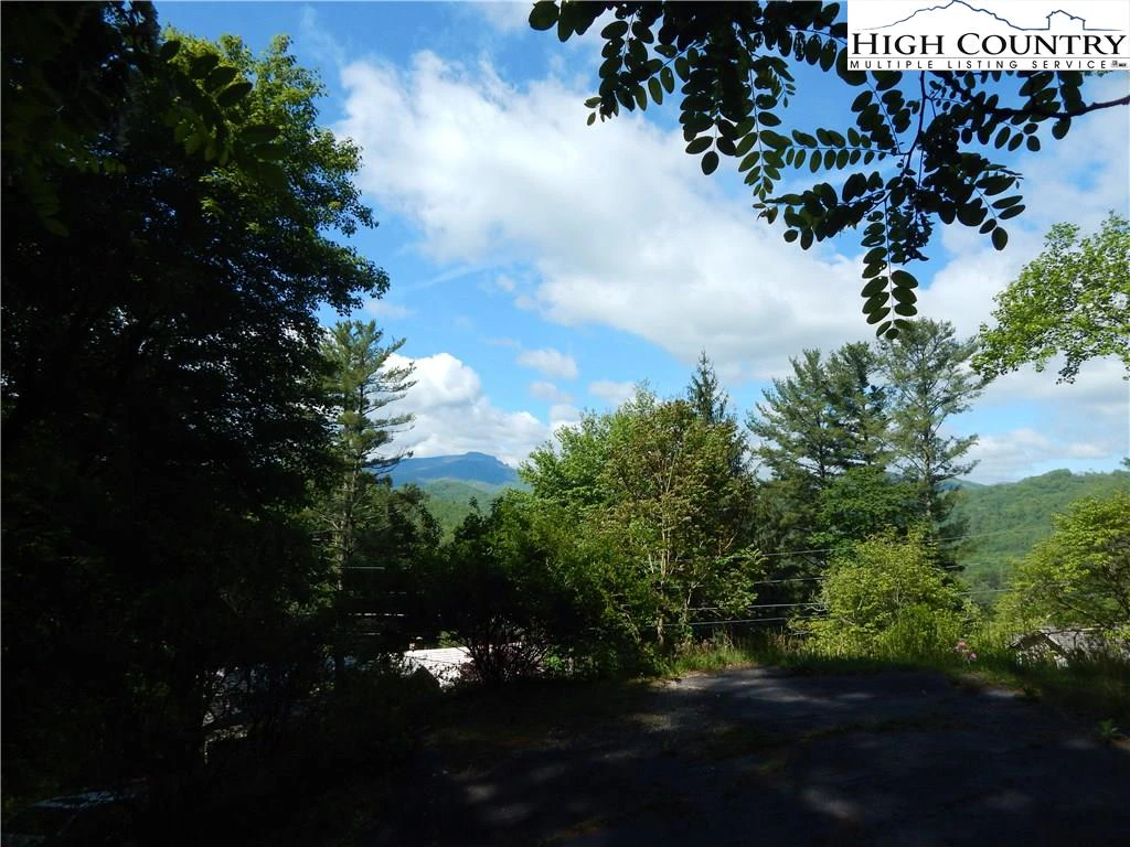Image number 4 for the current listing