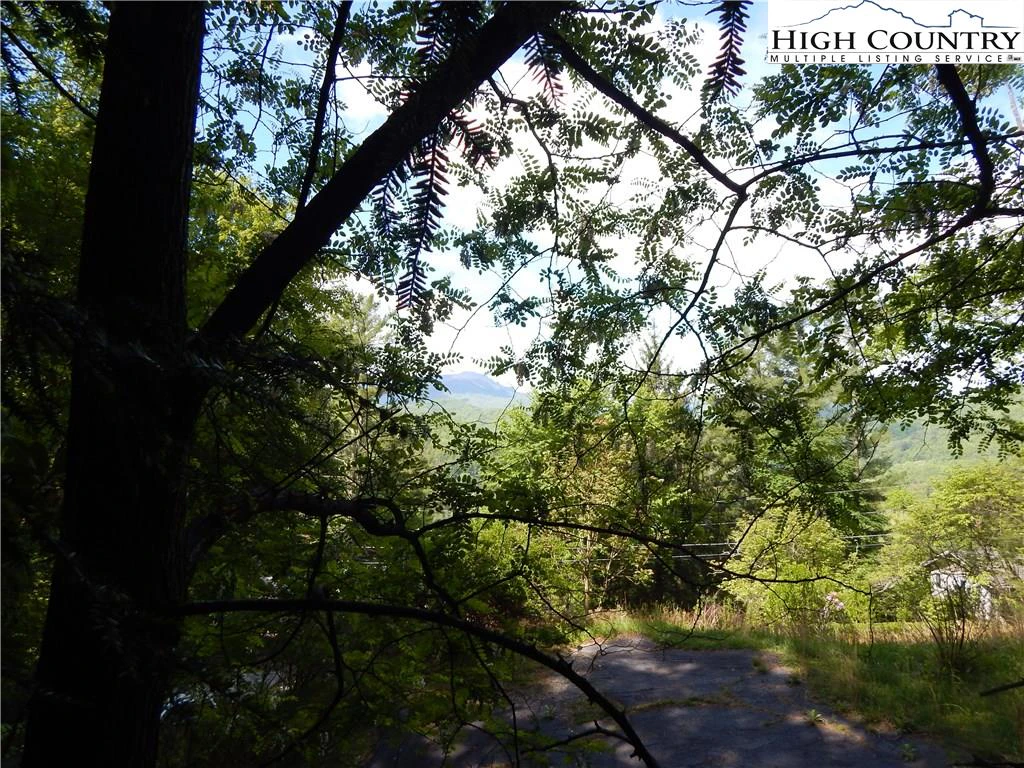 Image number 6 for the current listing