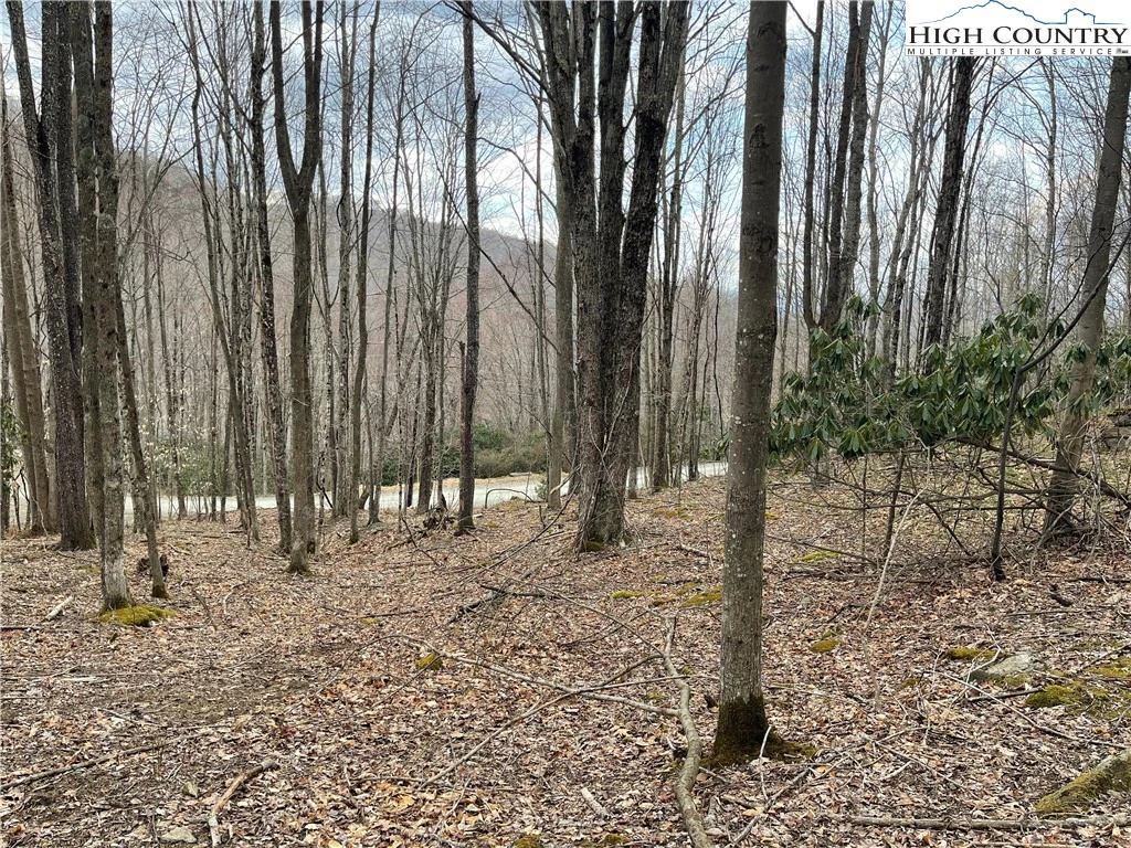 Image number 1 for the current listing