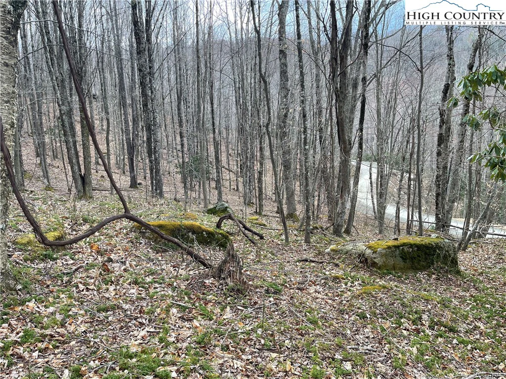 Image number 4 for the current listing