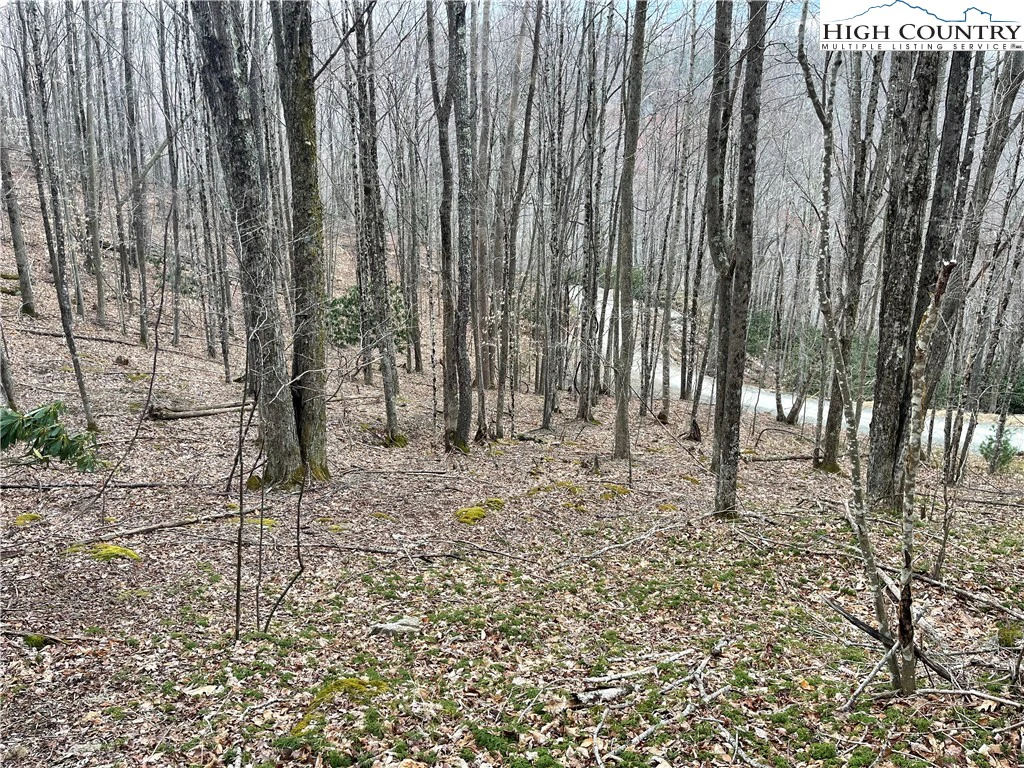 Image number 5 for the current listing