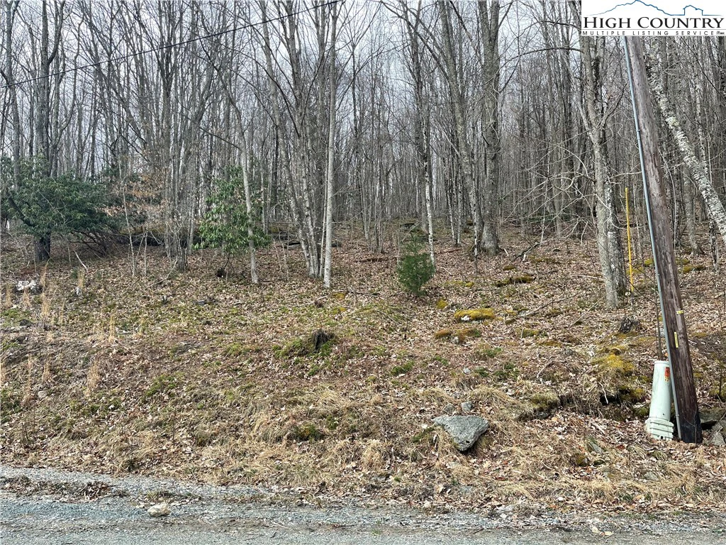Image number 9 for the current listing
