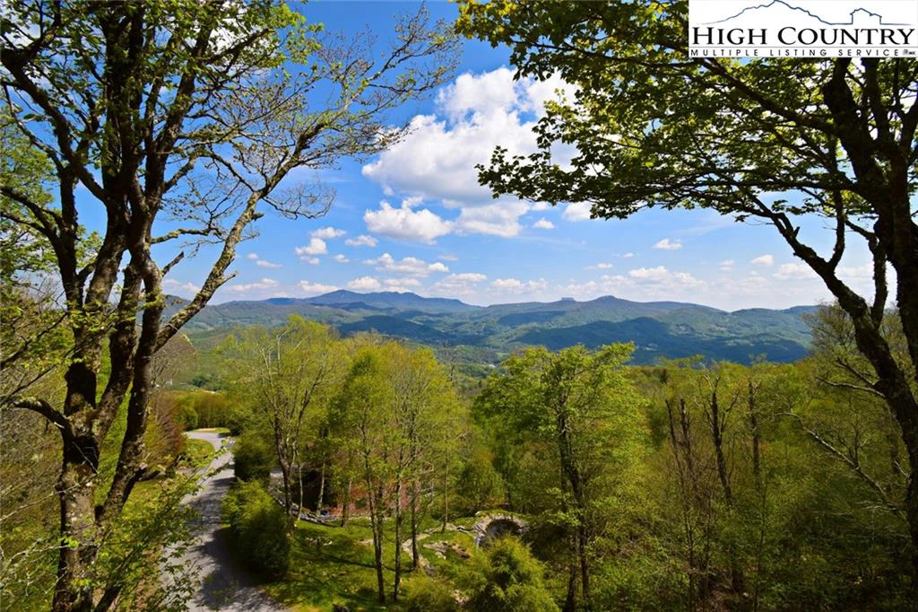 Image number 9 for the current listing