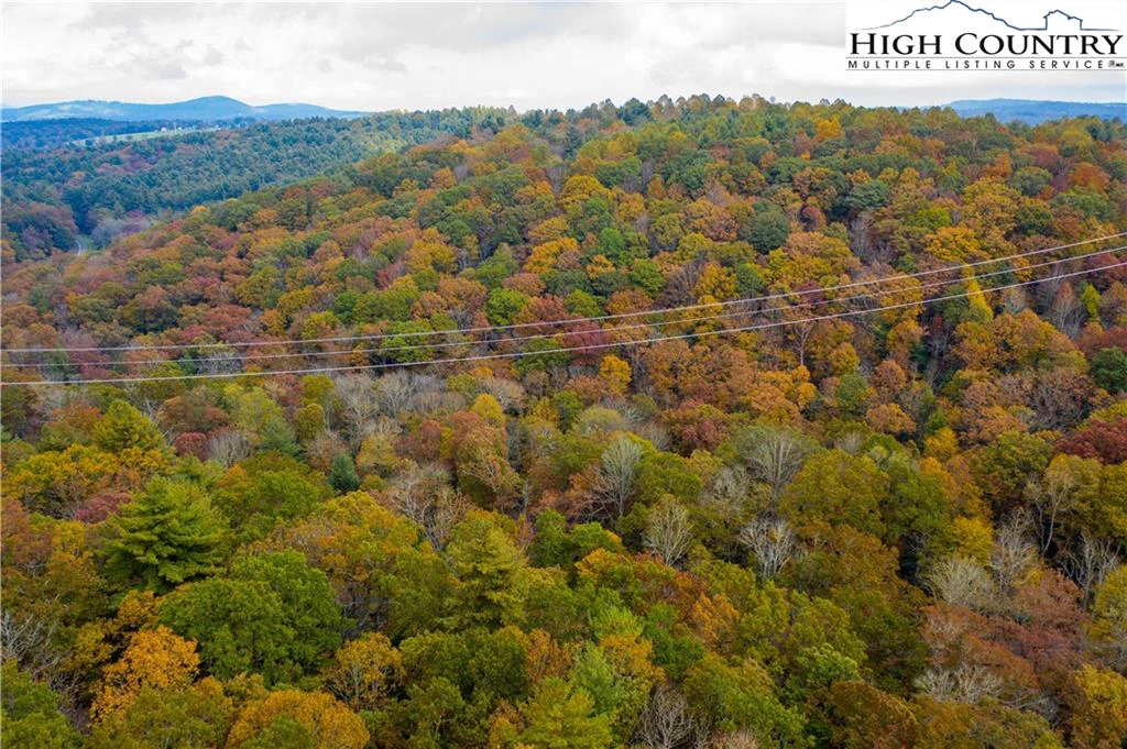 Image number 2 for the current listing