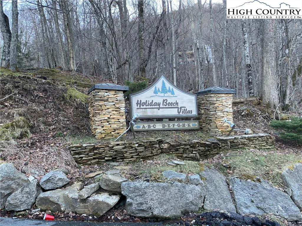 Image number 16 for the current listing