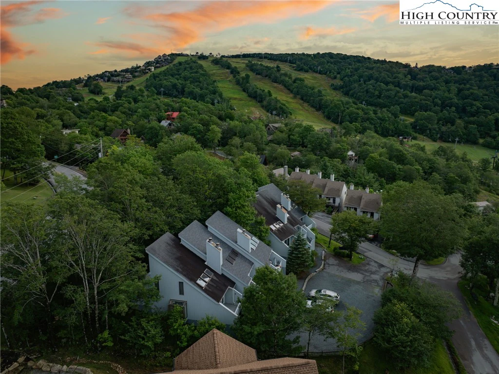 Image number 21 for the current listing