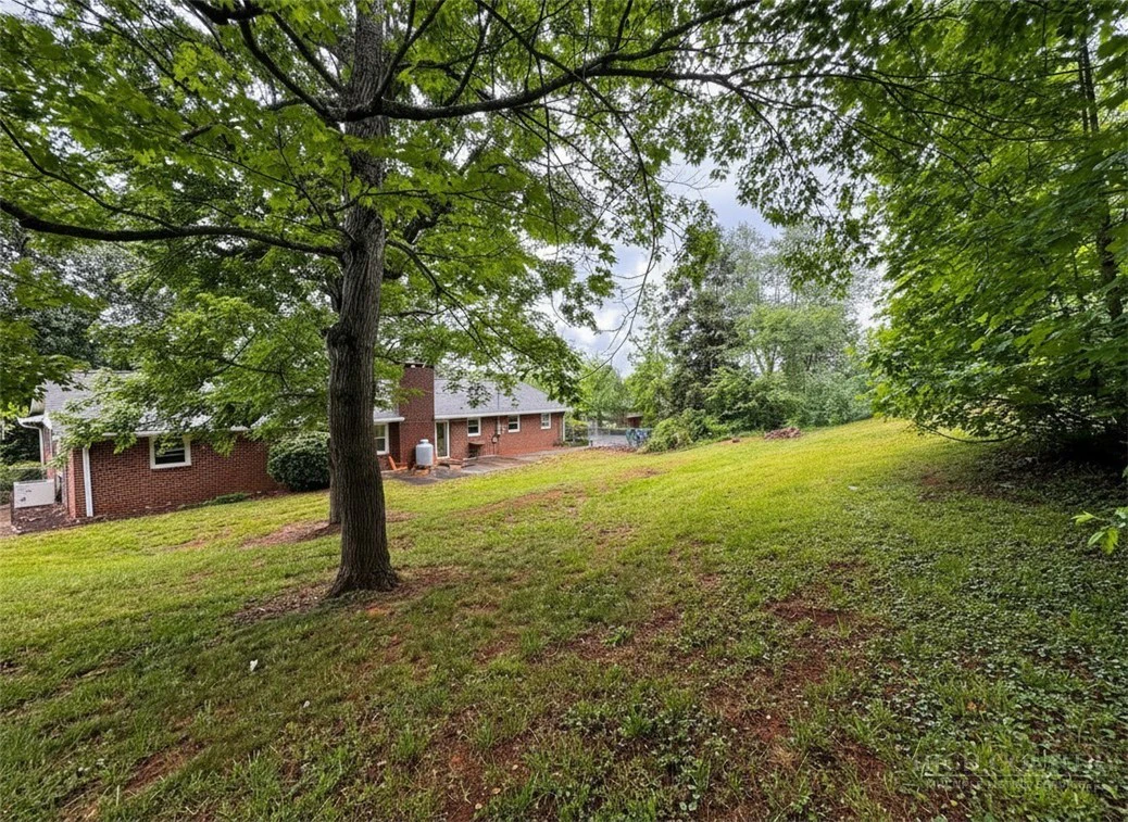 Image number 16 for the current listing