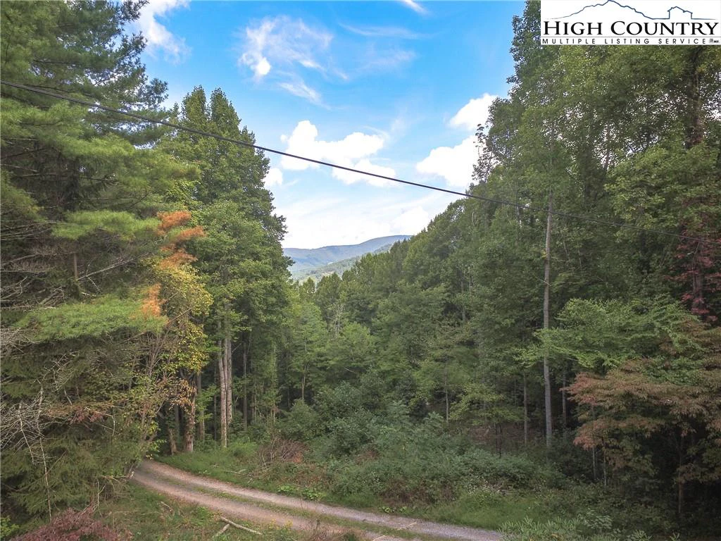 Image number 15 for the current listing