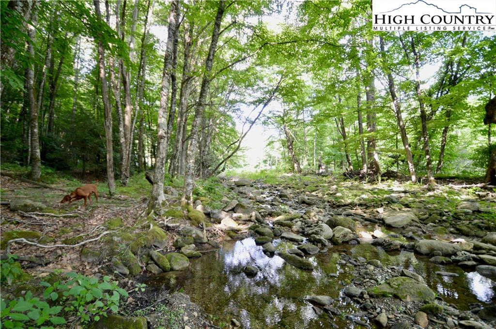Image number 1 for the current listing