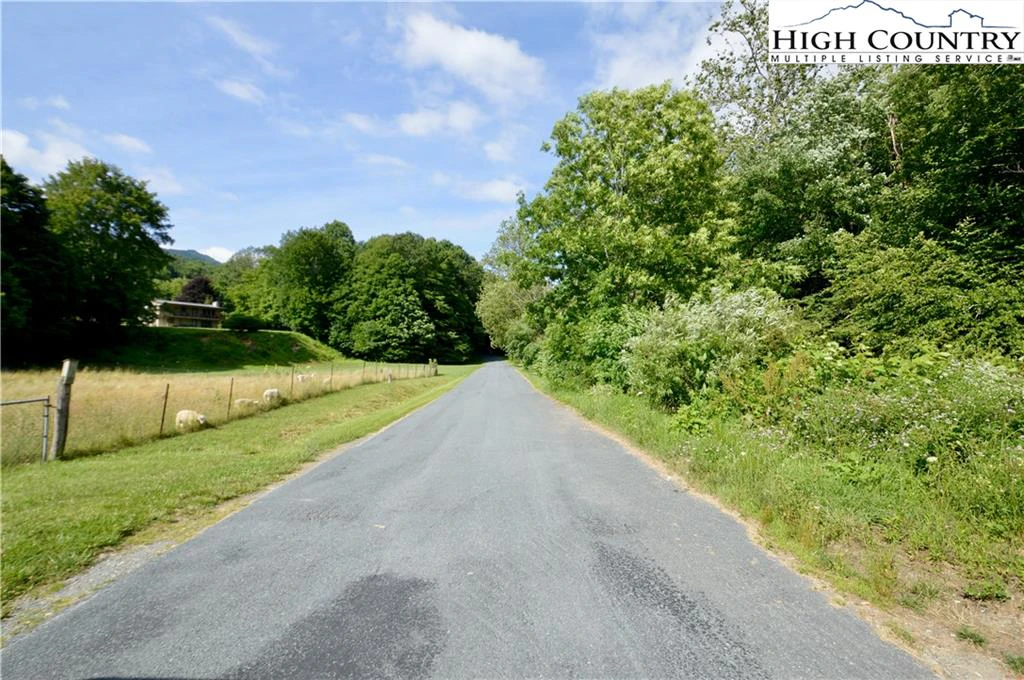 Image number 16 for the current listing