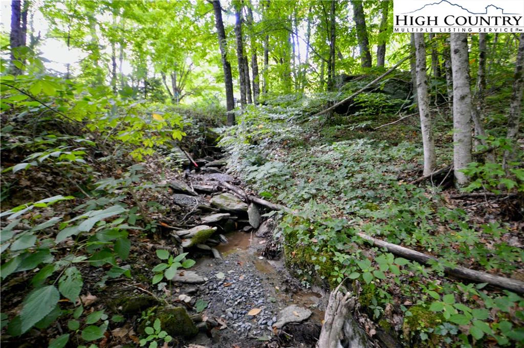Image number 3 for the current listing
