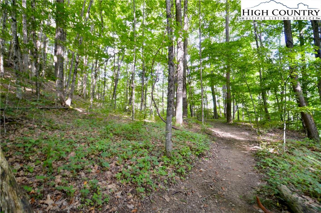 Image number 4 for the current listing