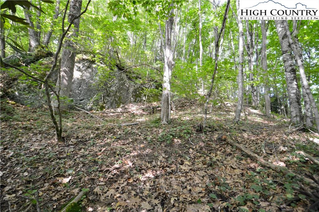Image number 5 for the current listing