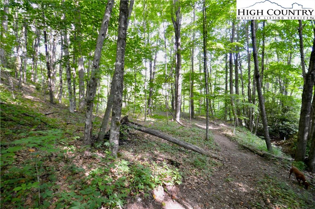 Image number 7 for the current listing