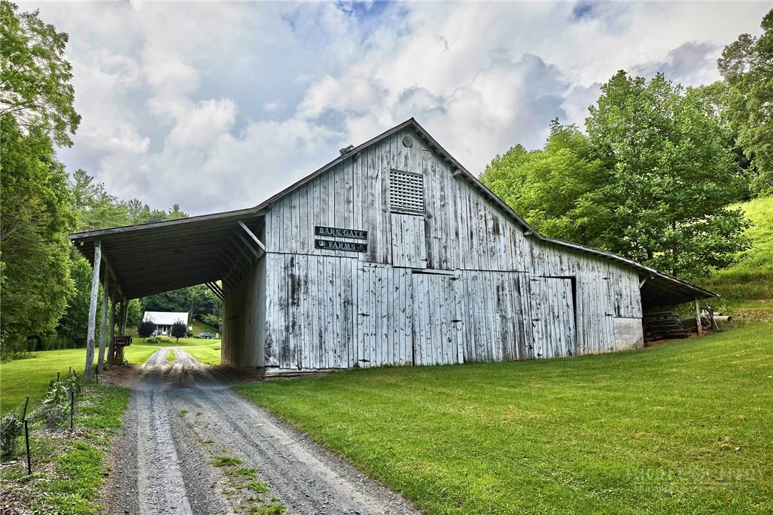 Image number 4 for the current listing